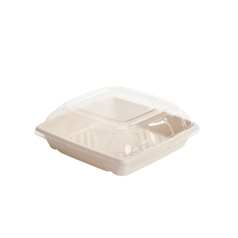 250x250x105mm Natural Square Sugarcane Platter W/ Lid 100pcs